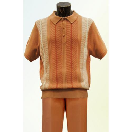 Michael Irvin Rust 2 PC Knitted Silk Blend Outfit # M2115S-P